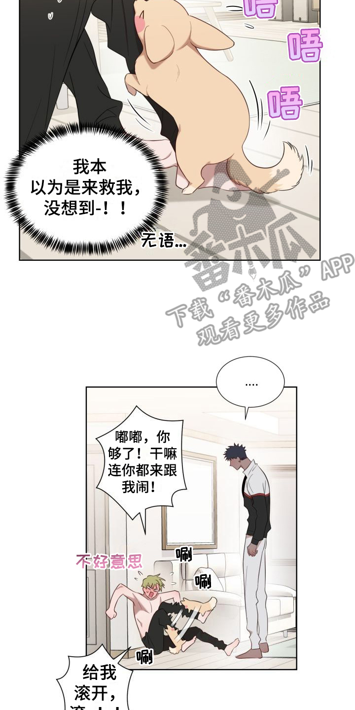 梅岭之恋阅读理解及答案漫画,第5章：怂恿2图