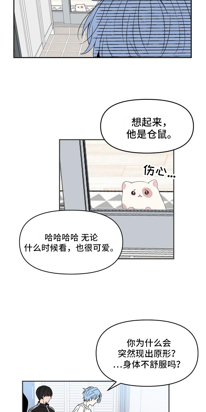 第17章：回家了1