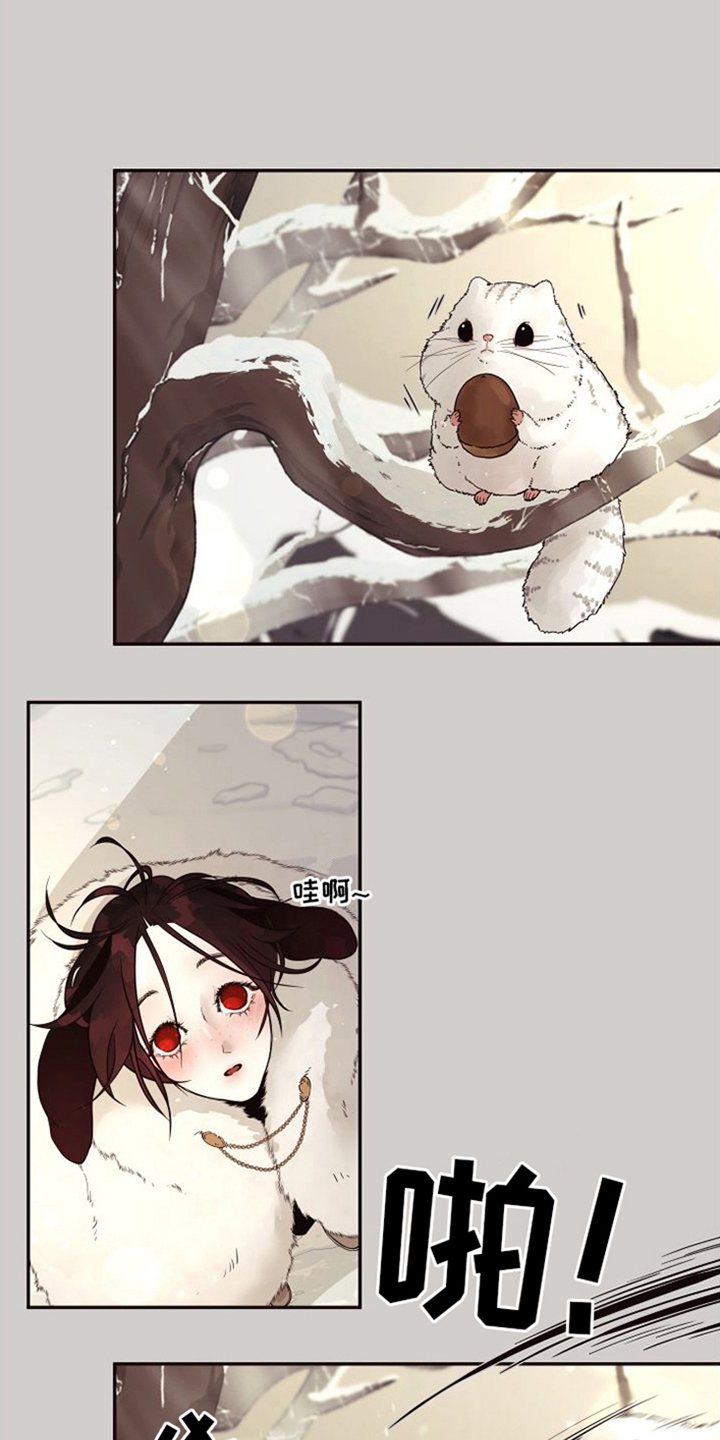 第4章：选择权0