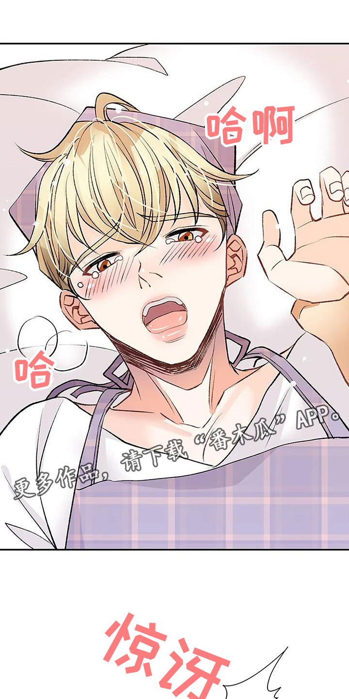 第17章：什么意图0