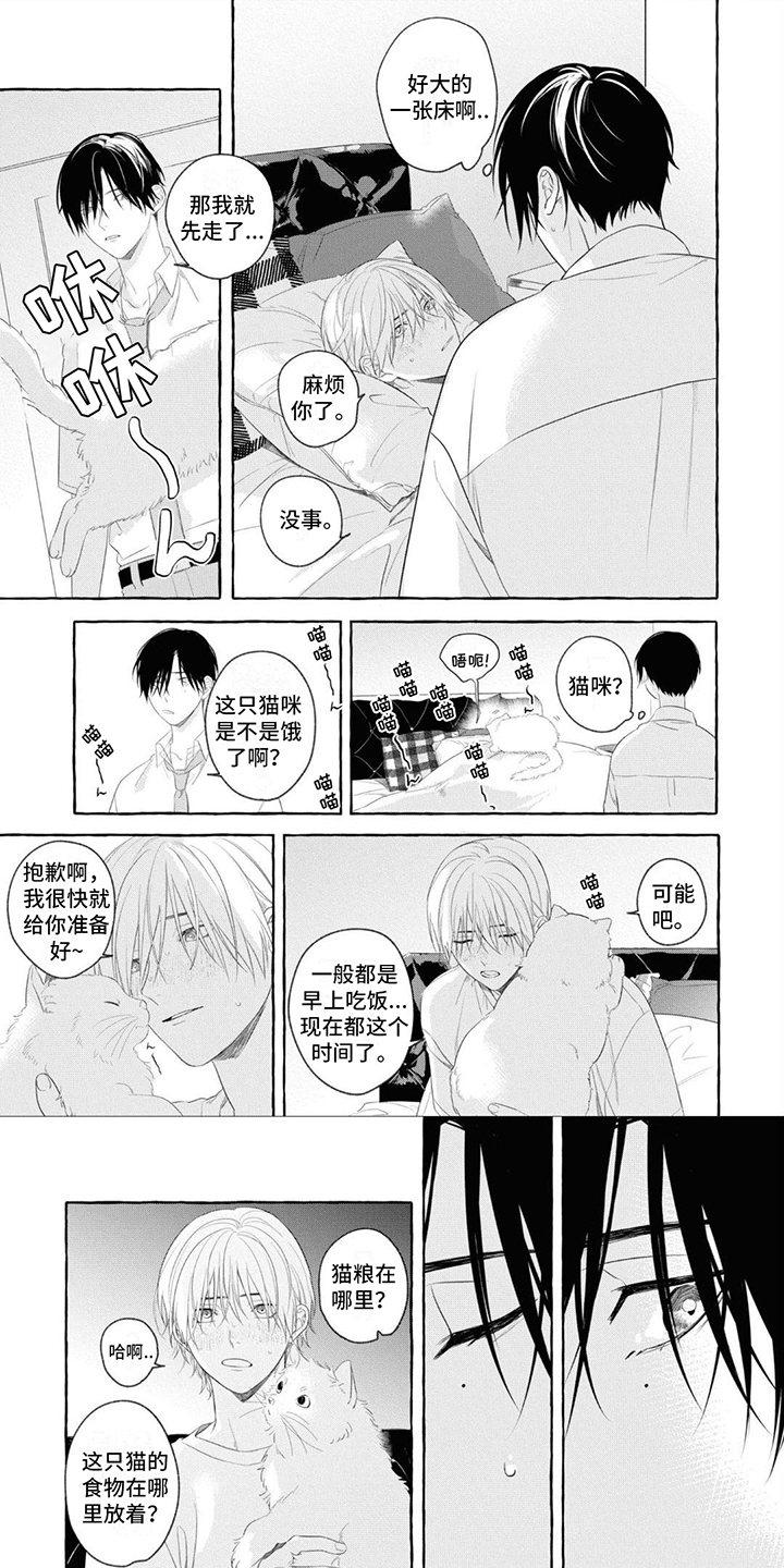第3章：照顾0