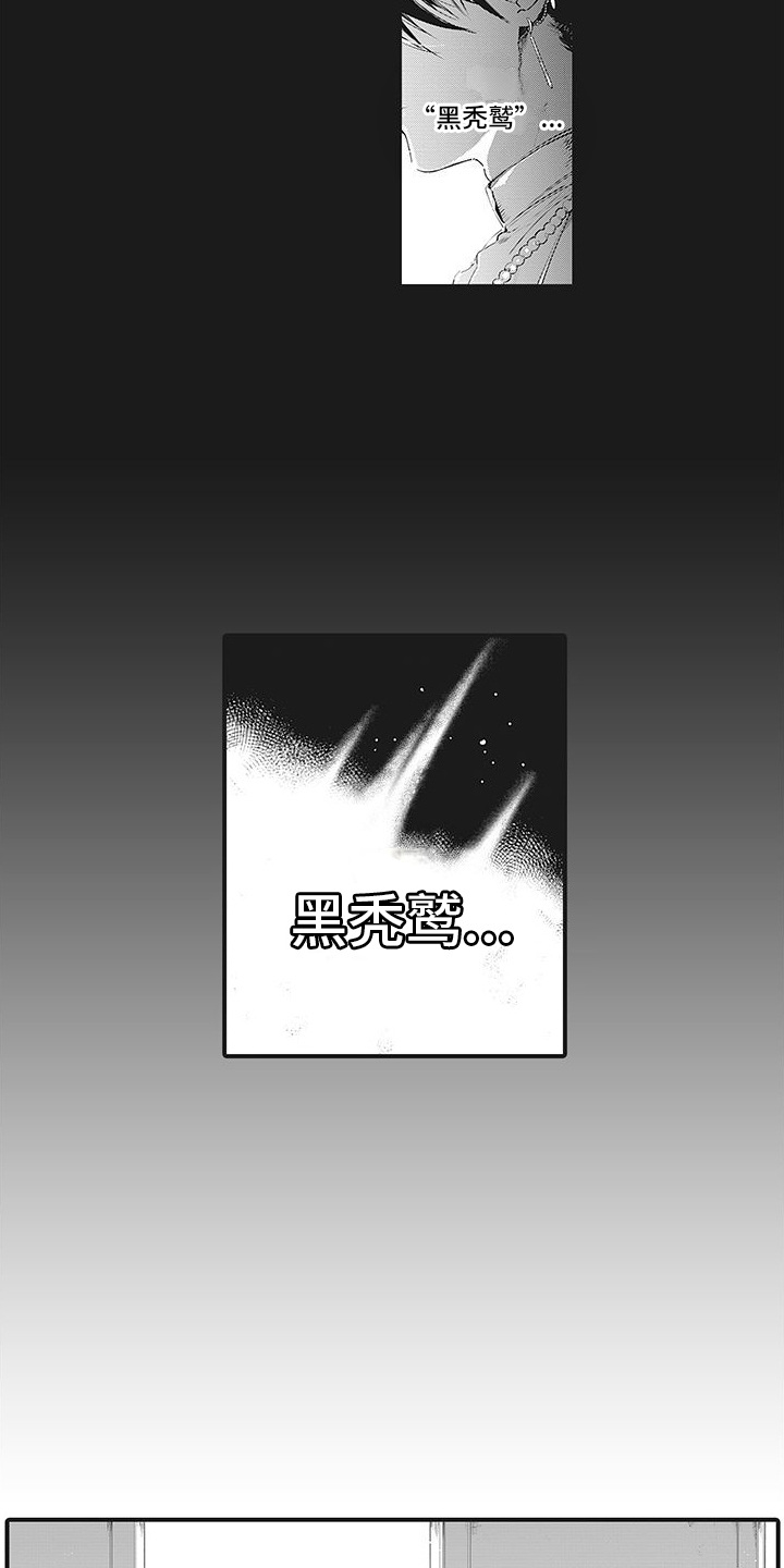 第1章：黑秃鹫2