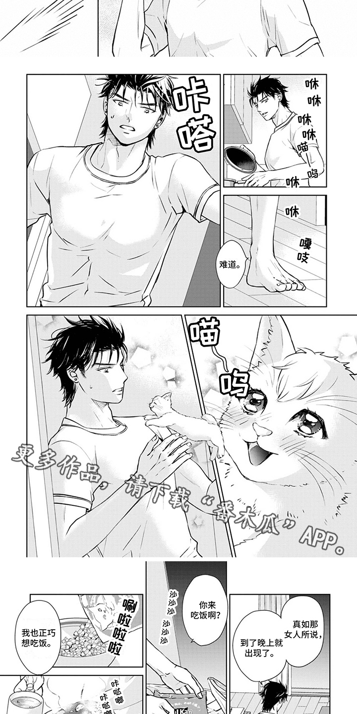 第8章：取名1