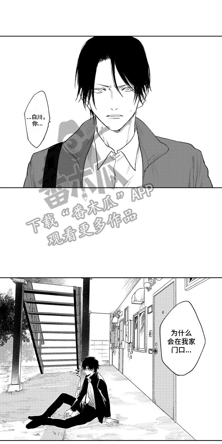 第12章：表态0