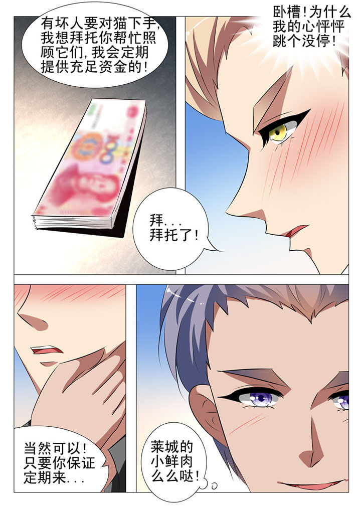 第88章：4