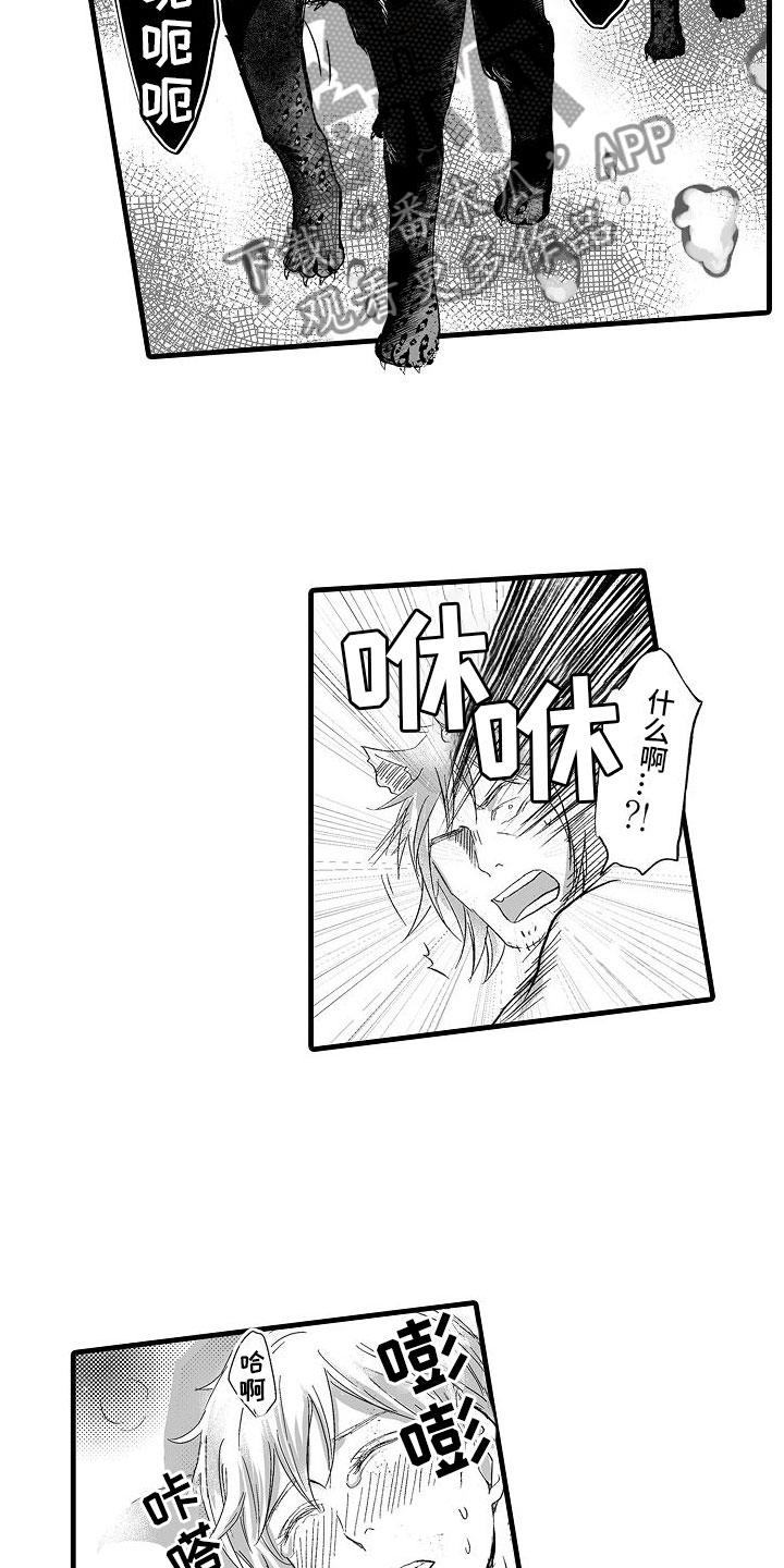 异界兽医 最新章节 无弹窗漫画,第8章：召唤那天5图