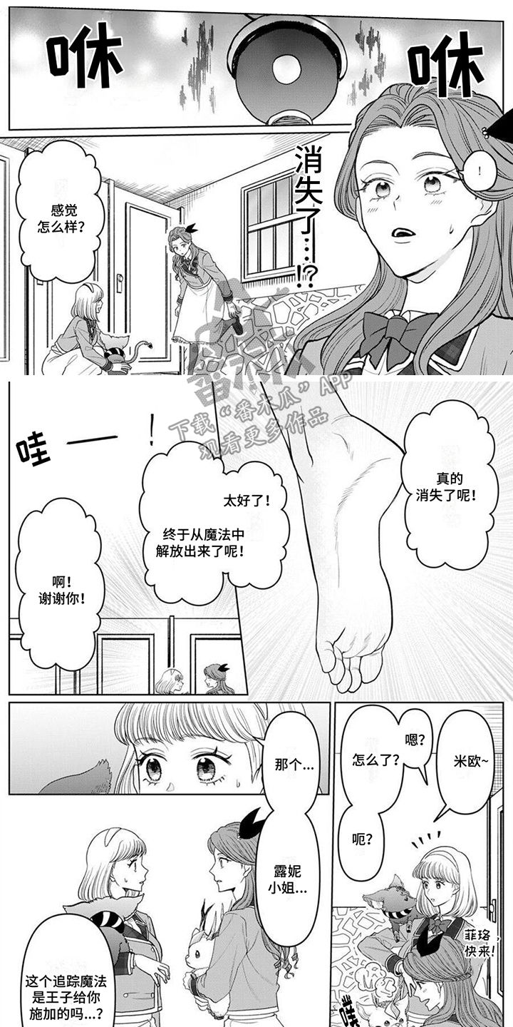 第11章：变身0