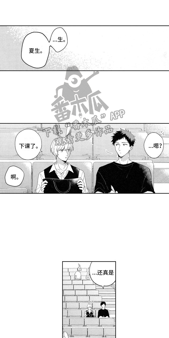 狼先生和土拨鼠漫画,第11章：查询1图