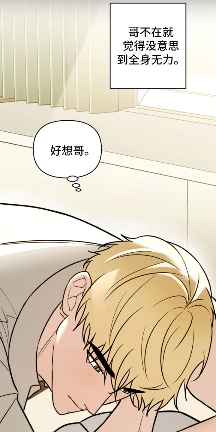 年下弟弟过分野大结局漫画,第9章：不再分开5图
