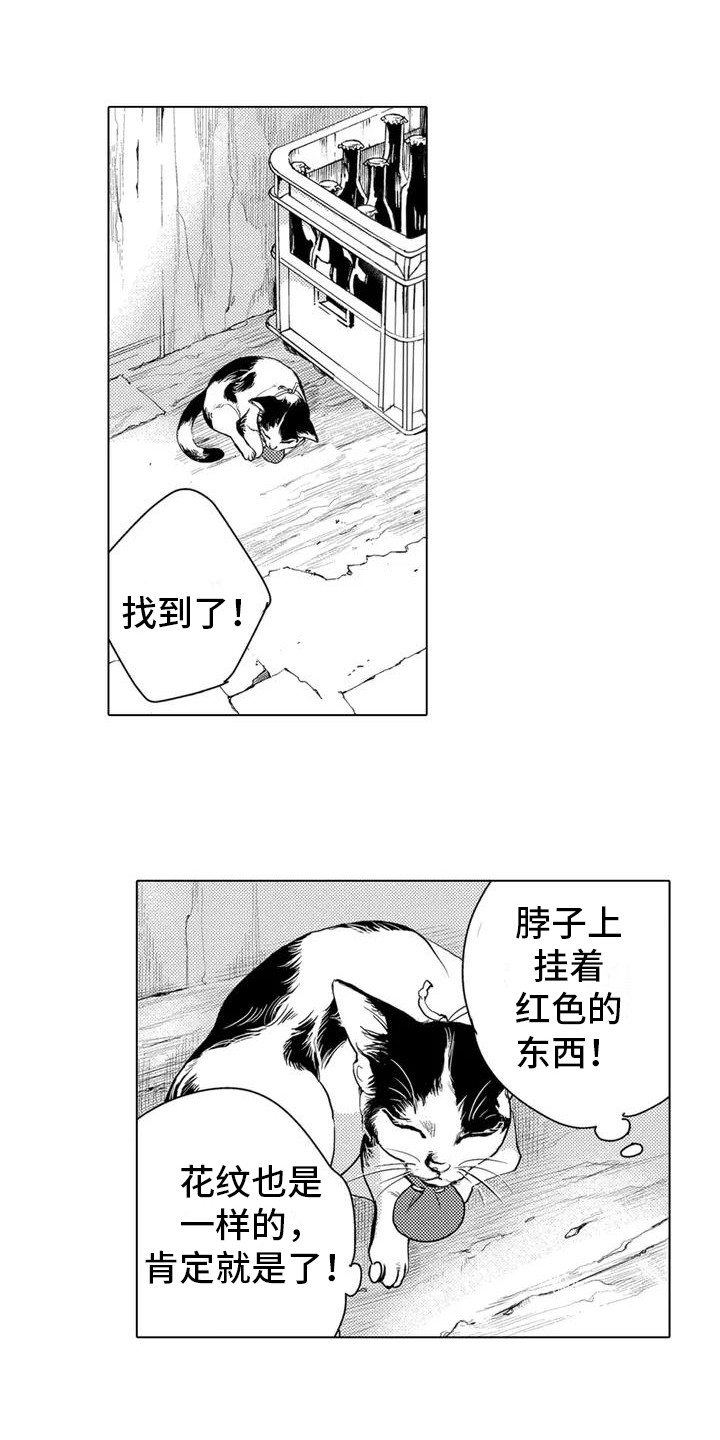 第2章： 寻找猫咪4