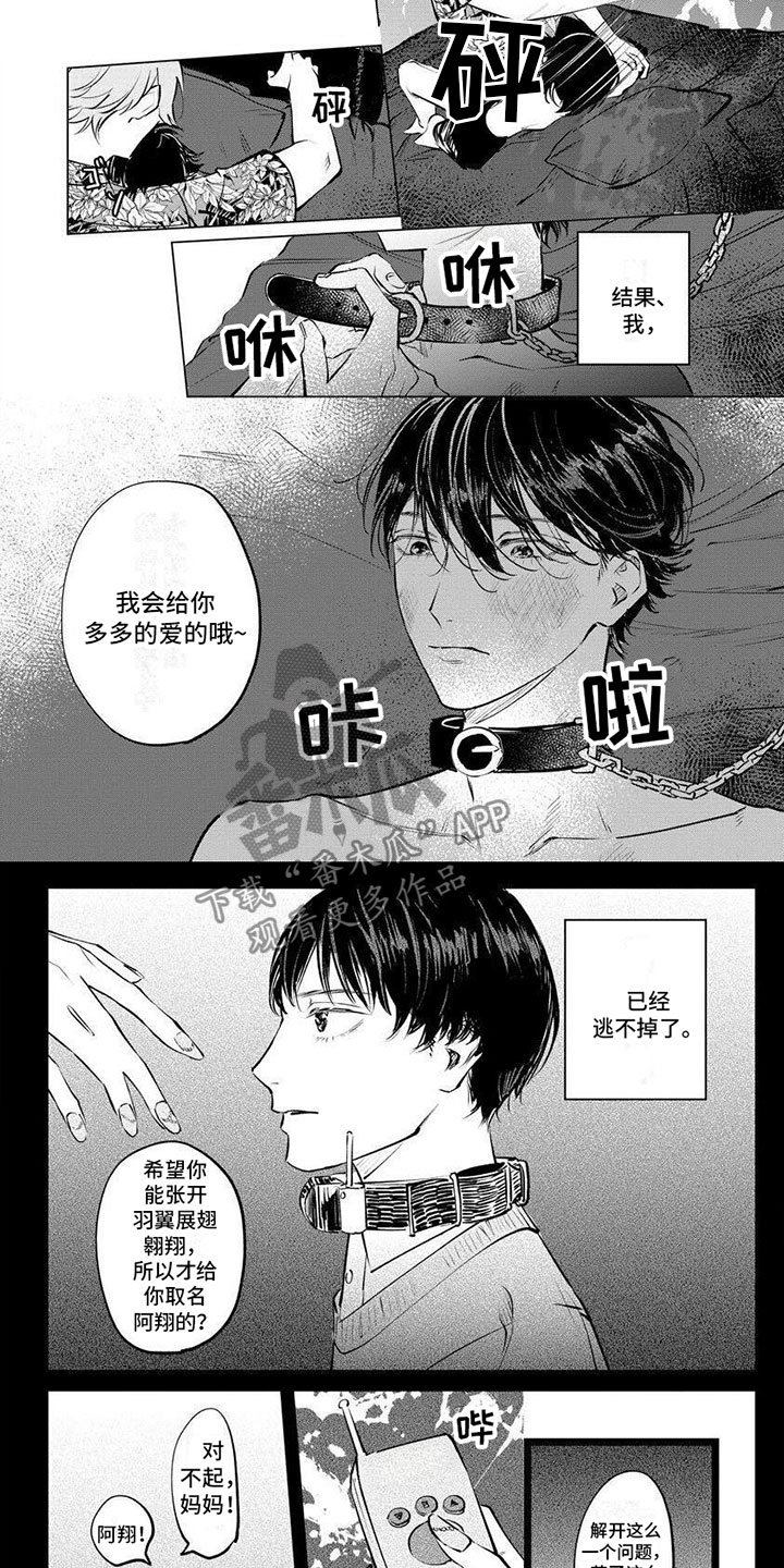 不懂爱的千金与野兽漫画免费漫画,第9章：不会有错4图
