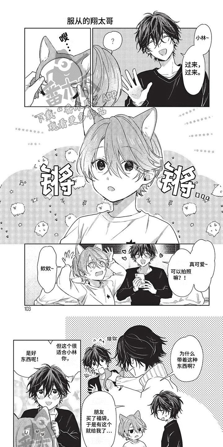温馨的兄弟俩 漫画在线观看漫画,第28章：服从1图
