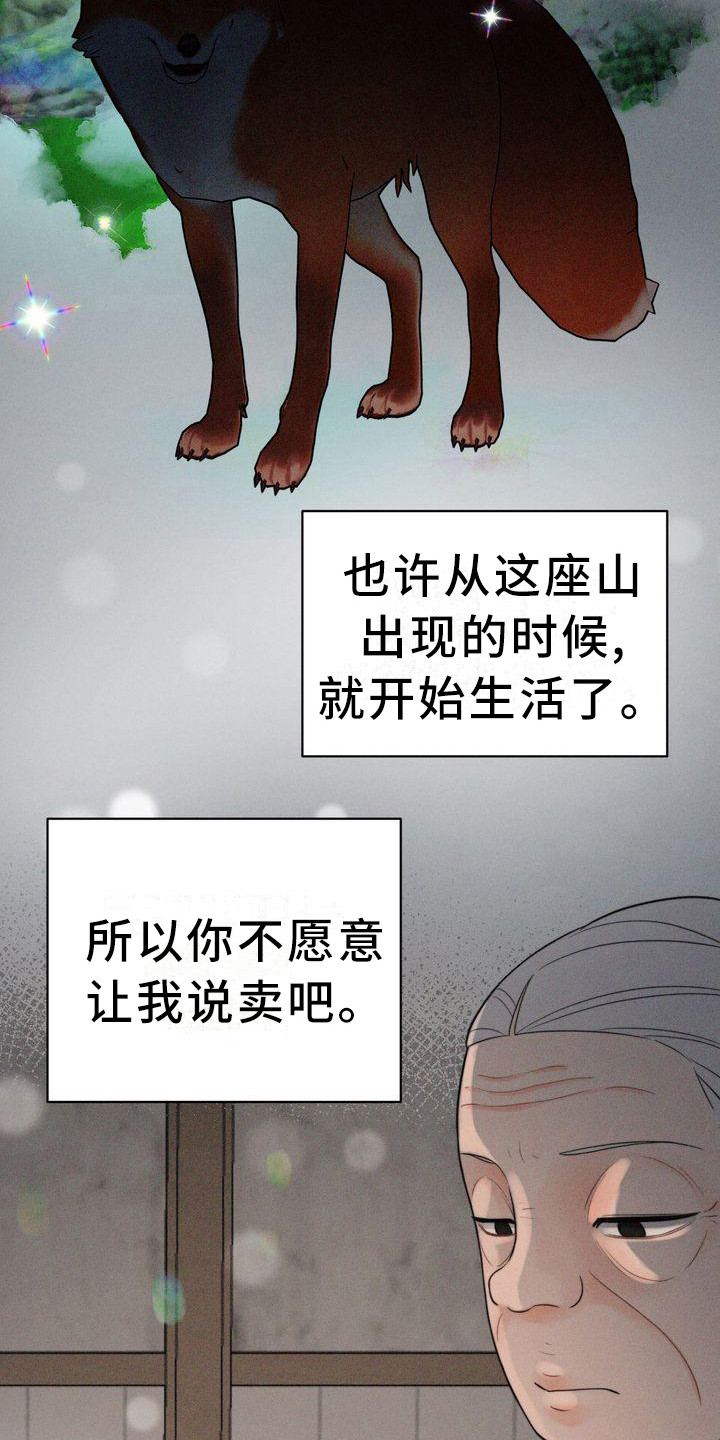 第14章：有主意了3