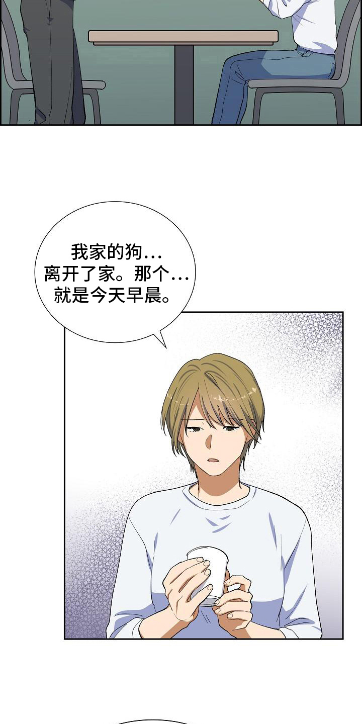 第17章：找狗2