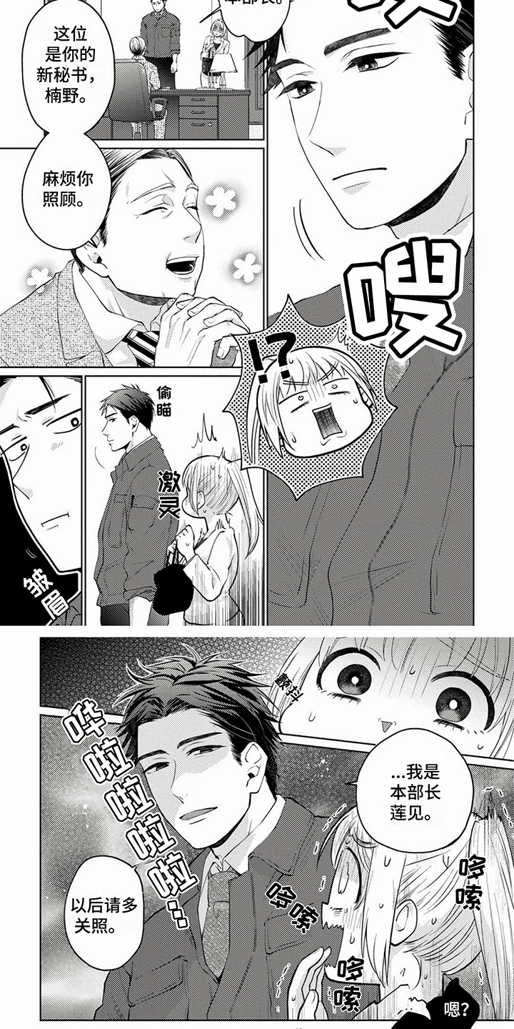 第1章：间谍秘书3