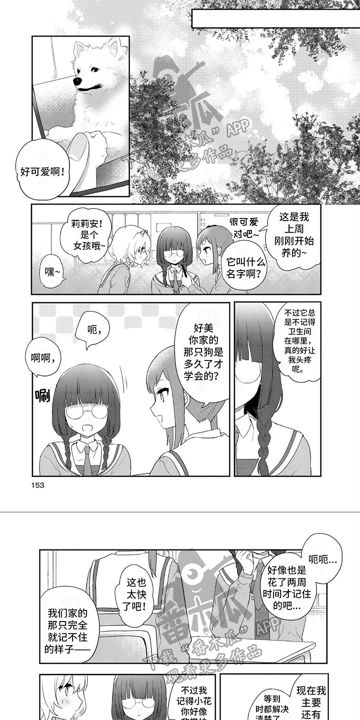 爱与花冠漫画,第19章：目击者1图