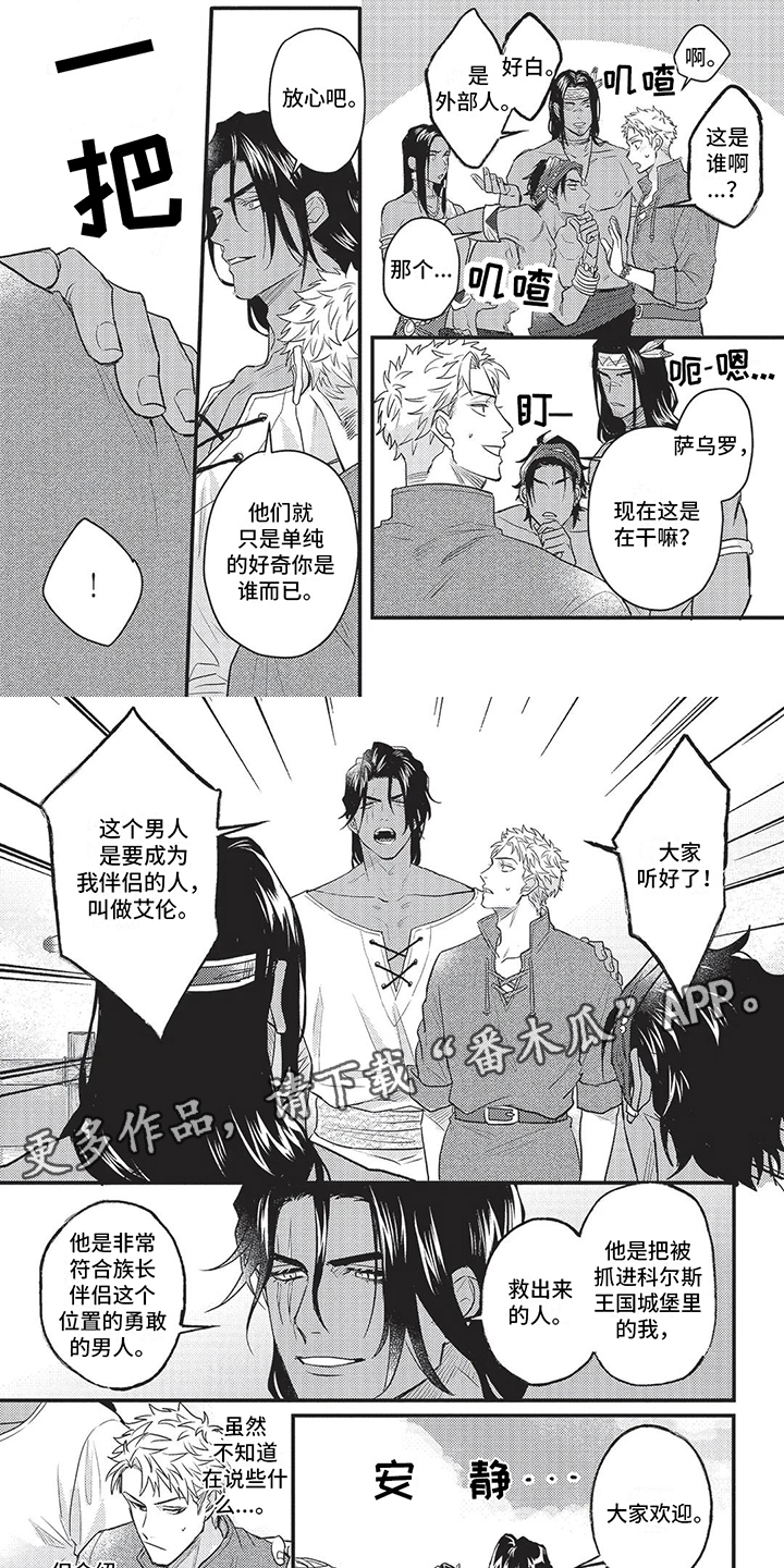 第11章：部族1
