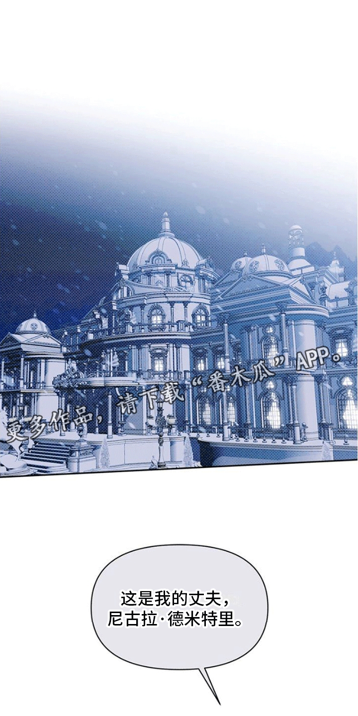 命定之爱漫画,第6章：皇宫里的照片1图