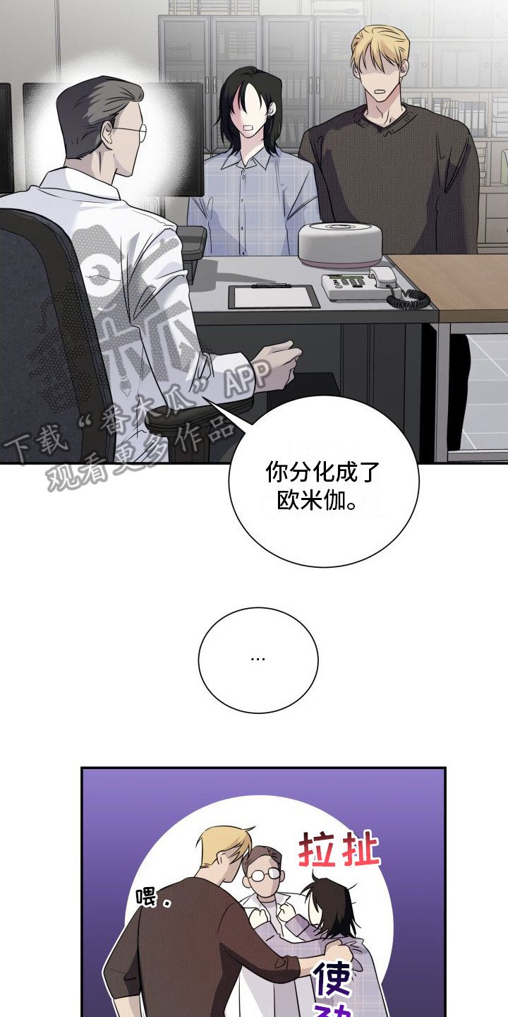 第13章：分化欧米伽1