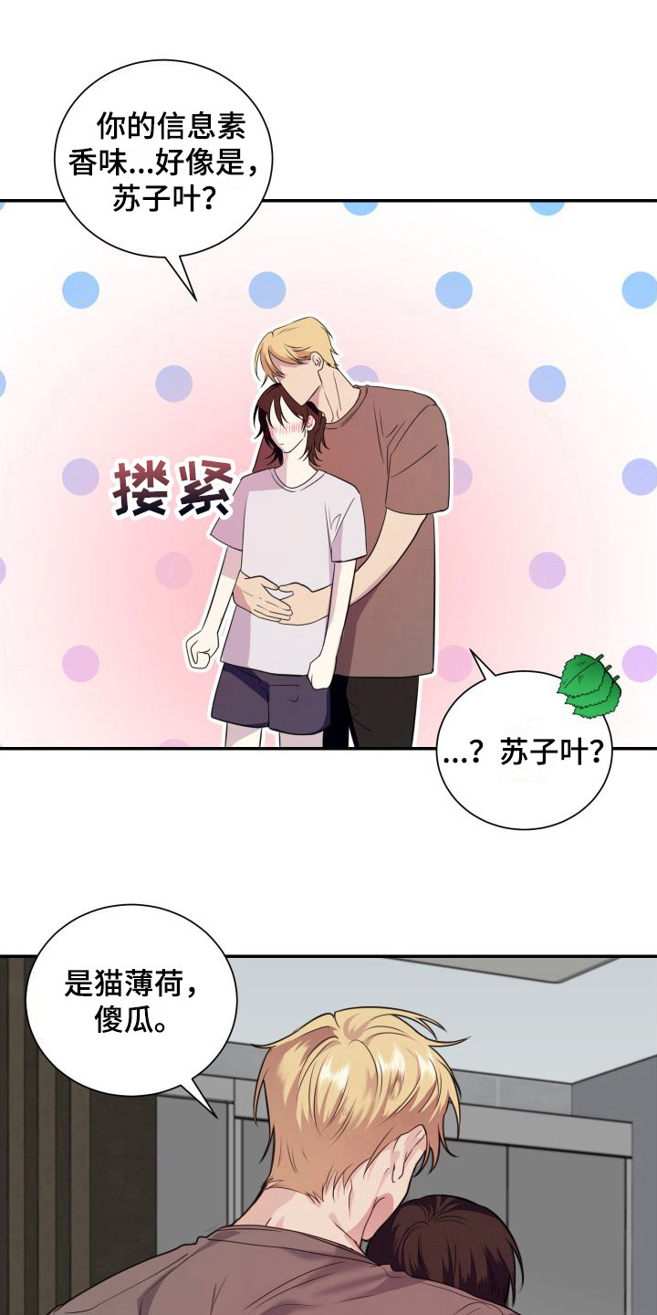 第16章：看着办0