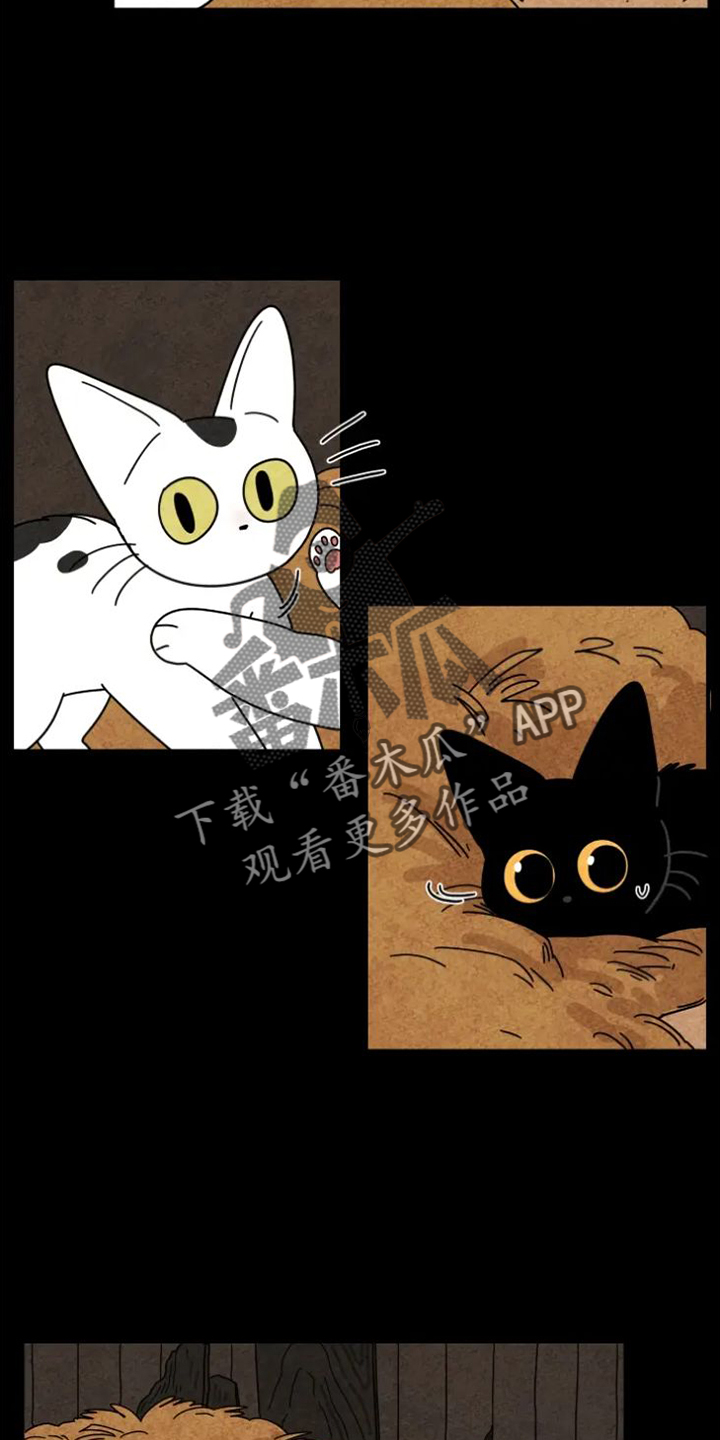 第35章：羡慕1
