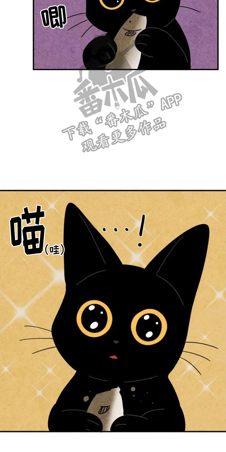 第31章：好久不见1