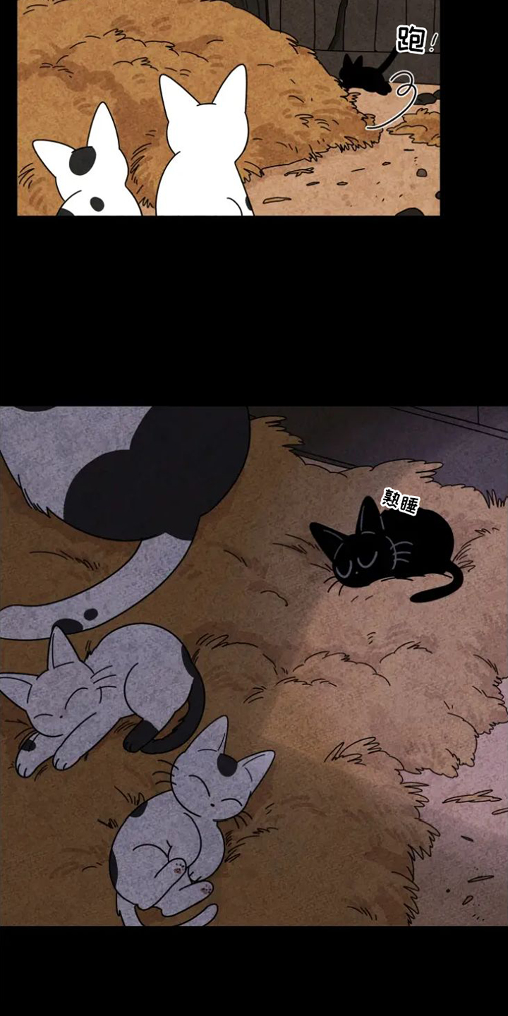 第35章：羡慕2