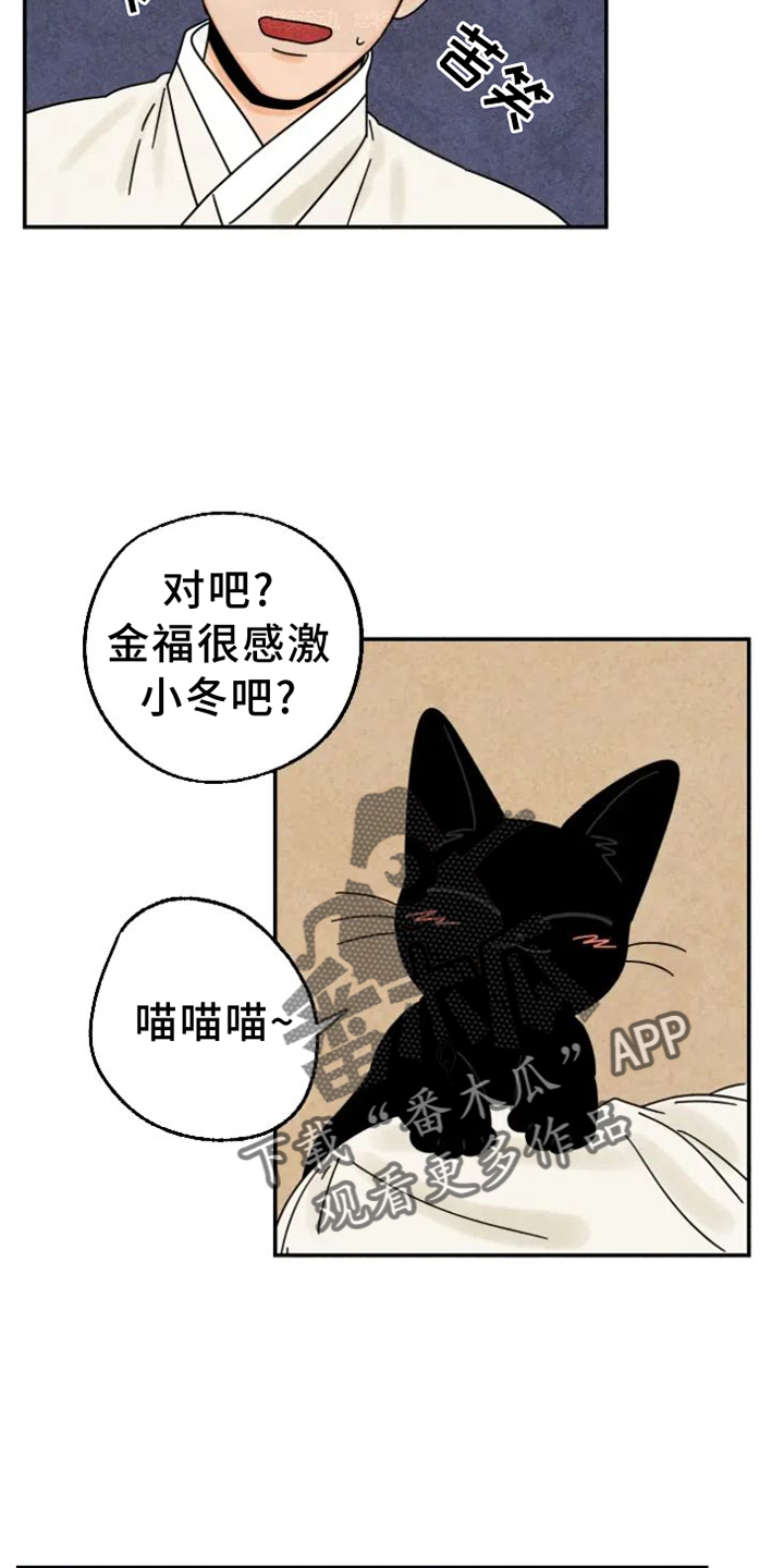 第48章：猫抓板1