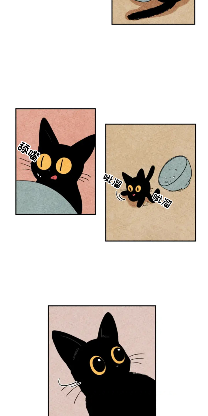 第5章：融入4