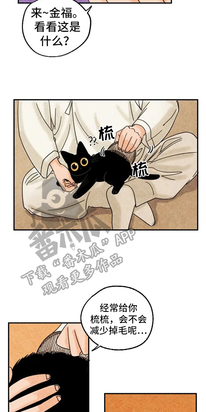 第15章：脏猫2