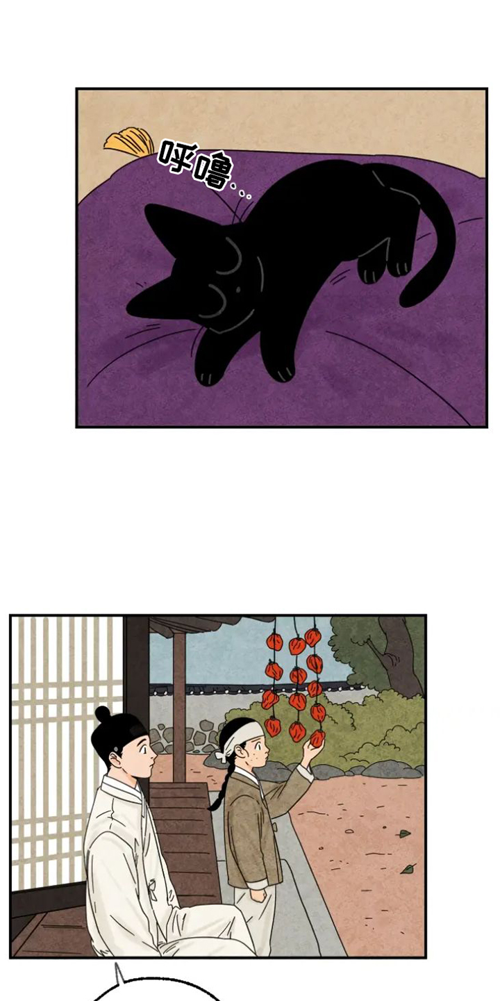 第41章：柿子0