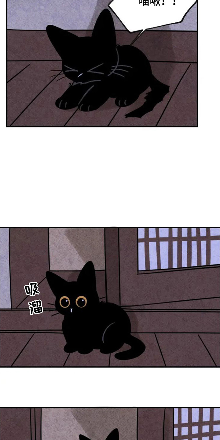 第26章：地瓜3