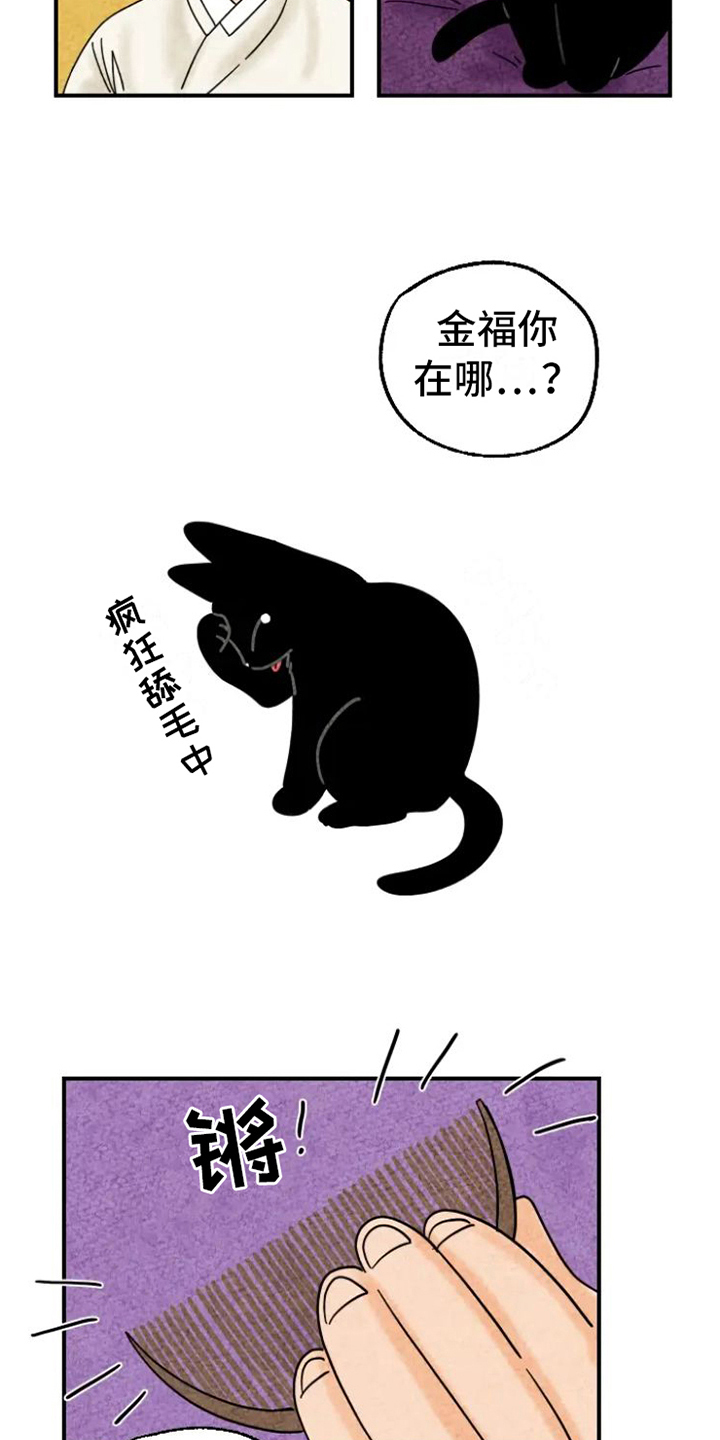 第15章：脏猫1