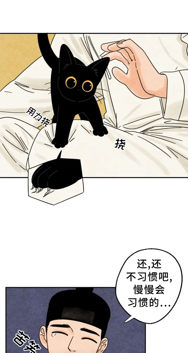 第48章：猫抓板0