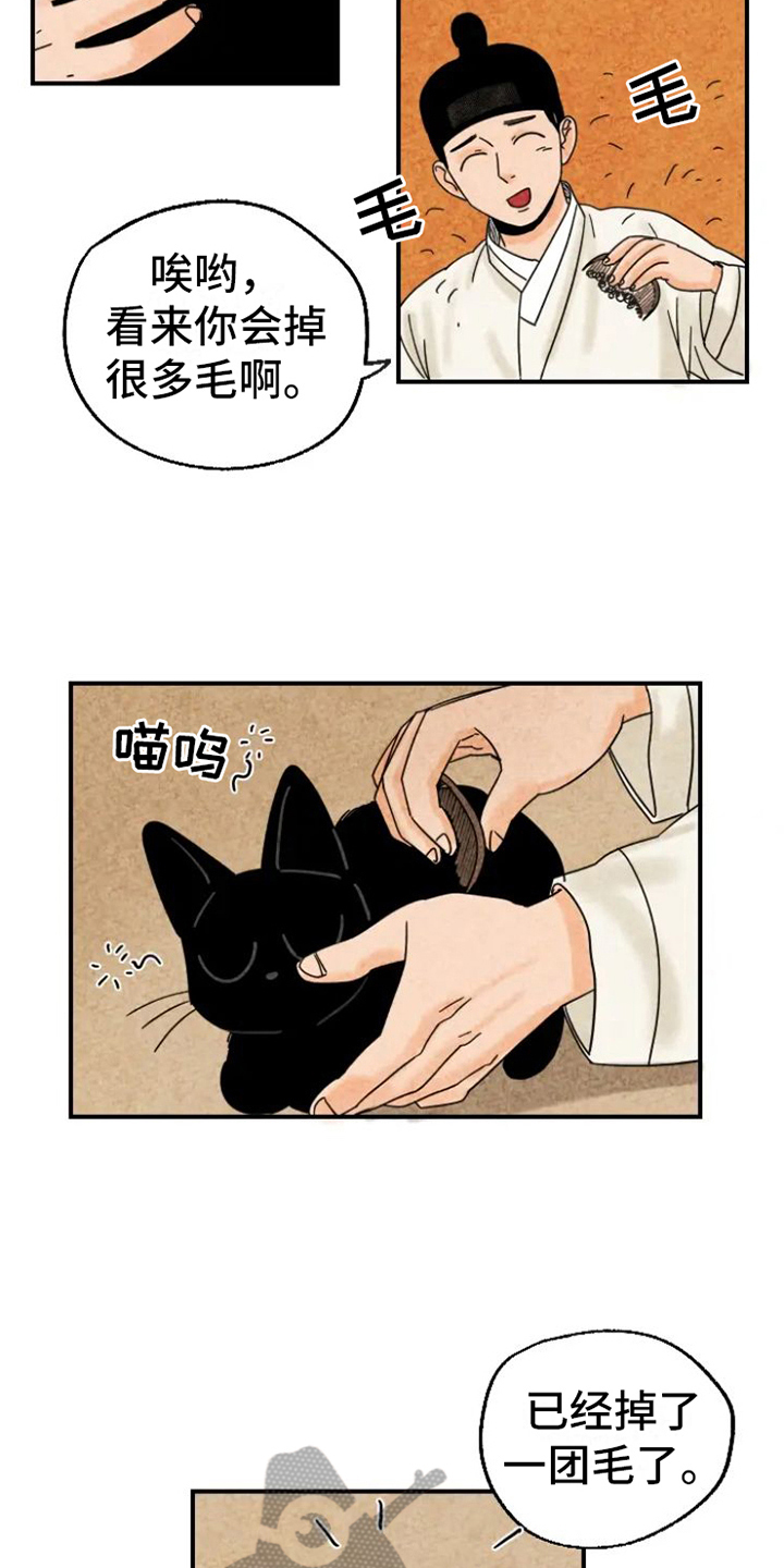 第15章：脏猫3
