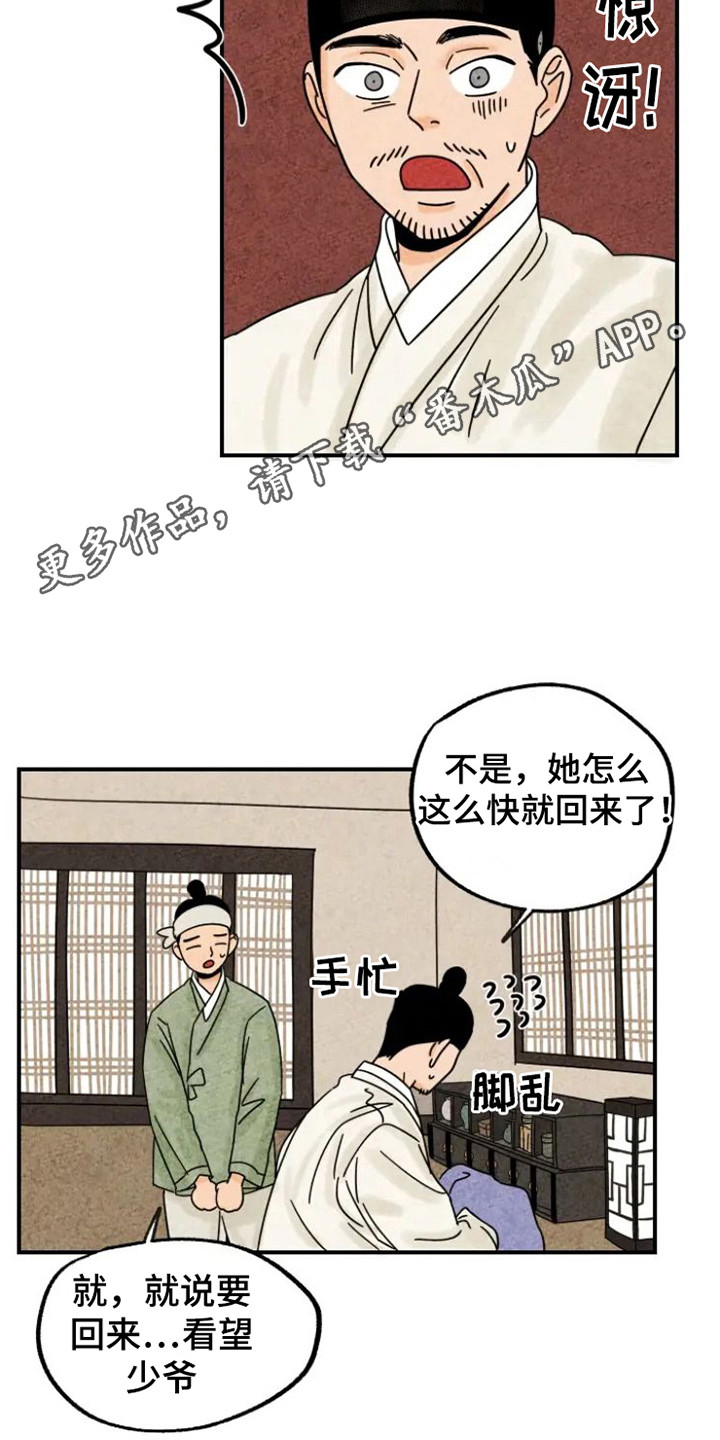 第33章：夫人来了4
