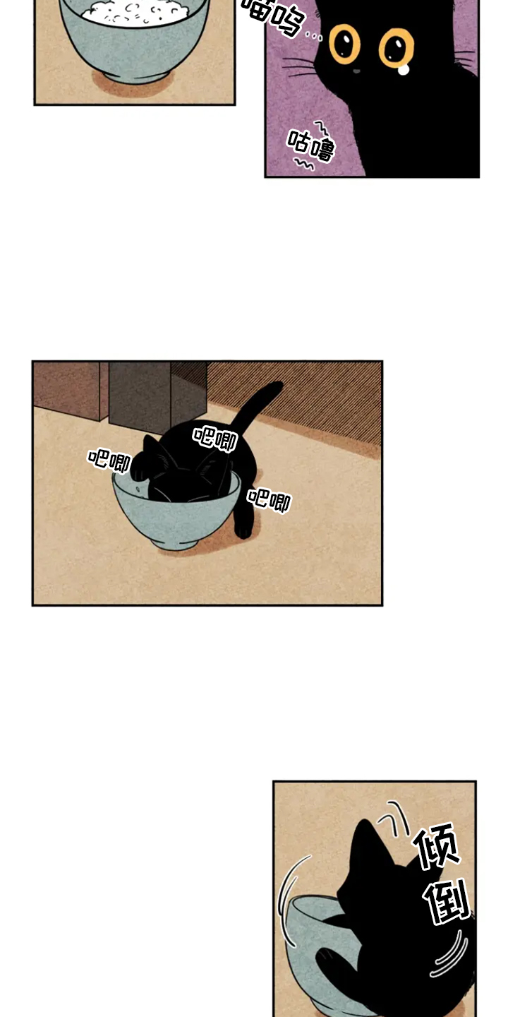 第5章：融入3