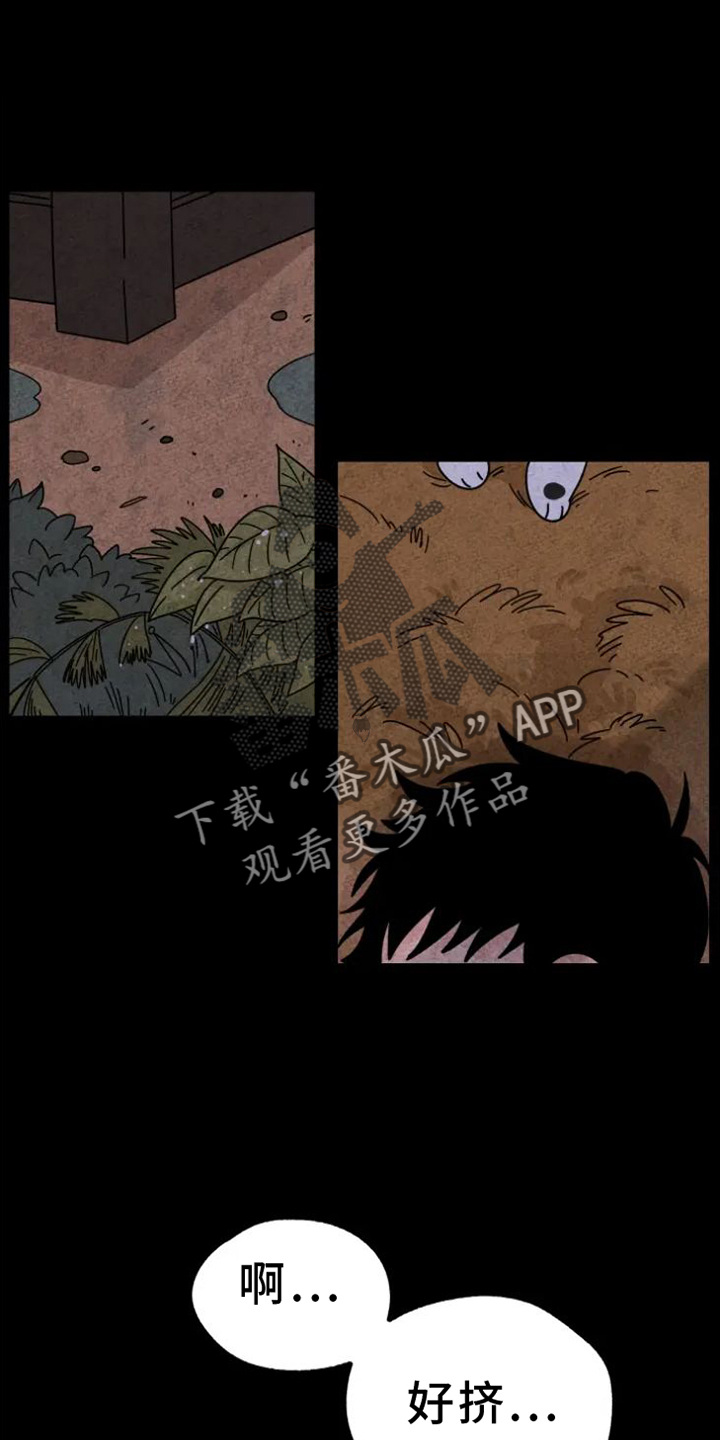 第35章：羡慕3