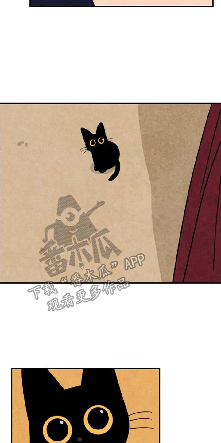 第33章：夫人来了1