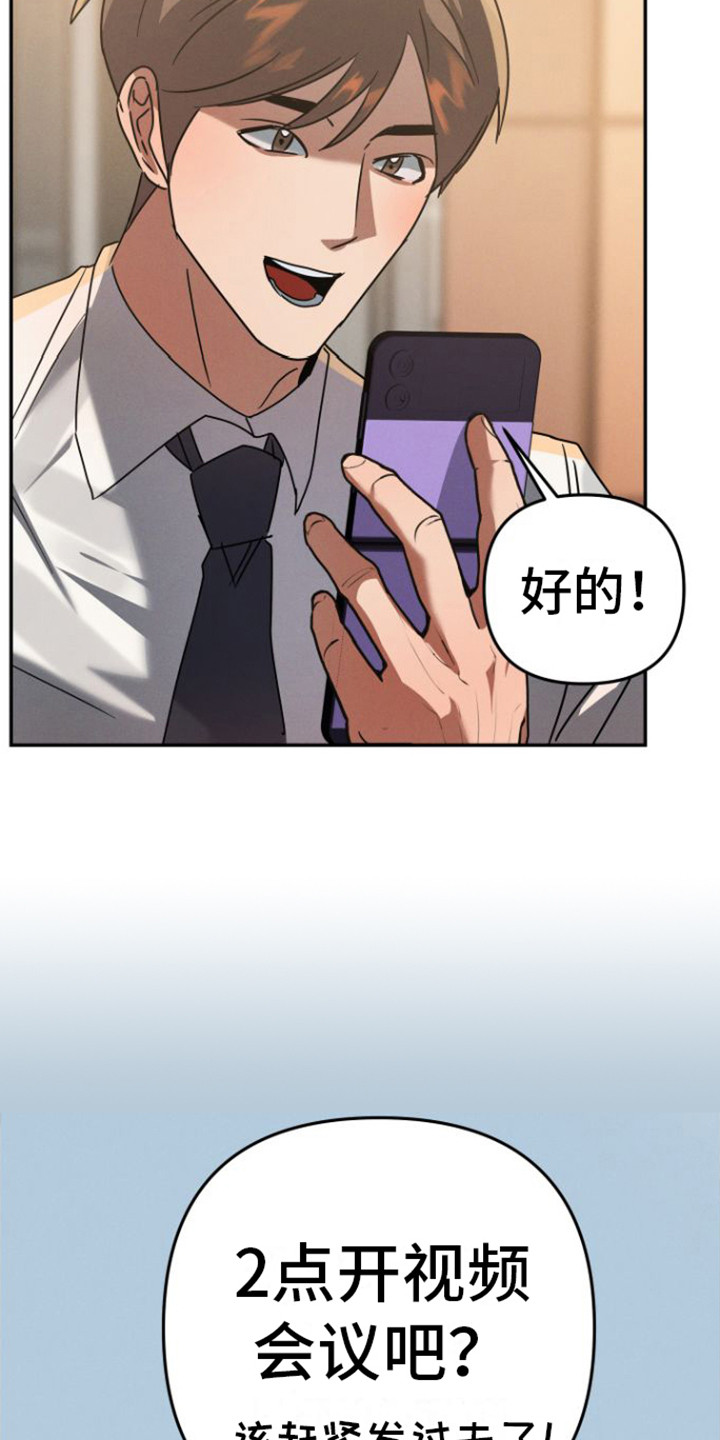 第13章：视频会议2