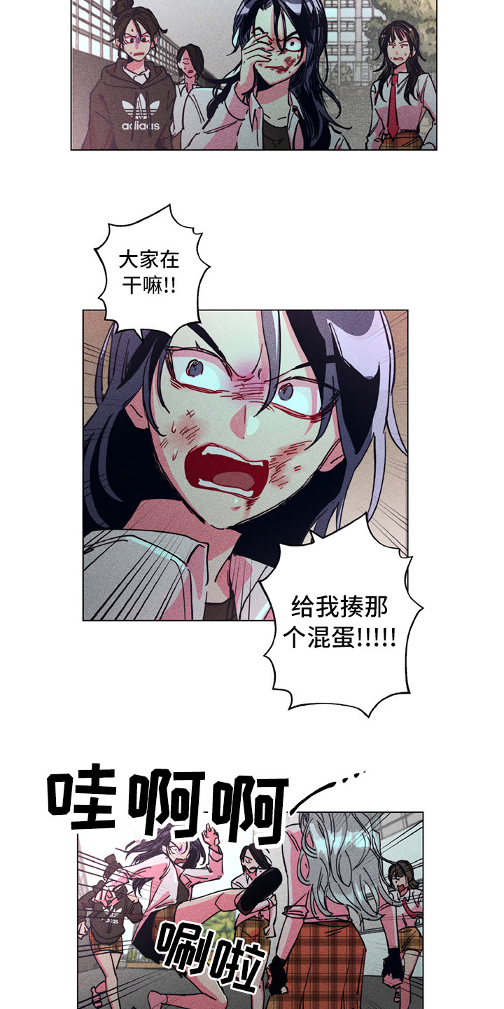 第2章：铲除暴力4