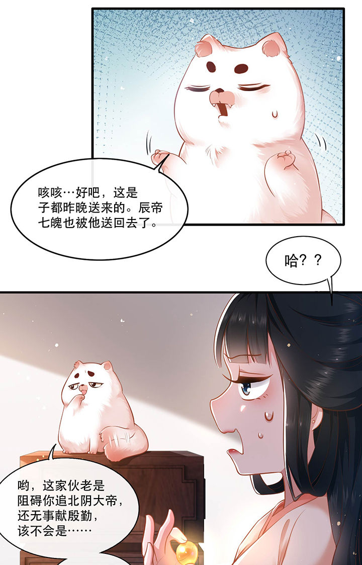 这个王妃路子野漫画免费阅读下拉式漫画,第48章：这桩婚事，你如何考虑？2图