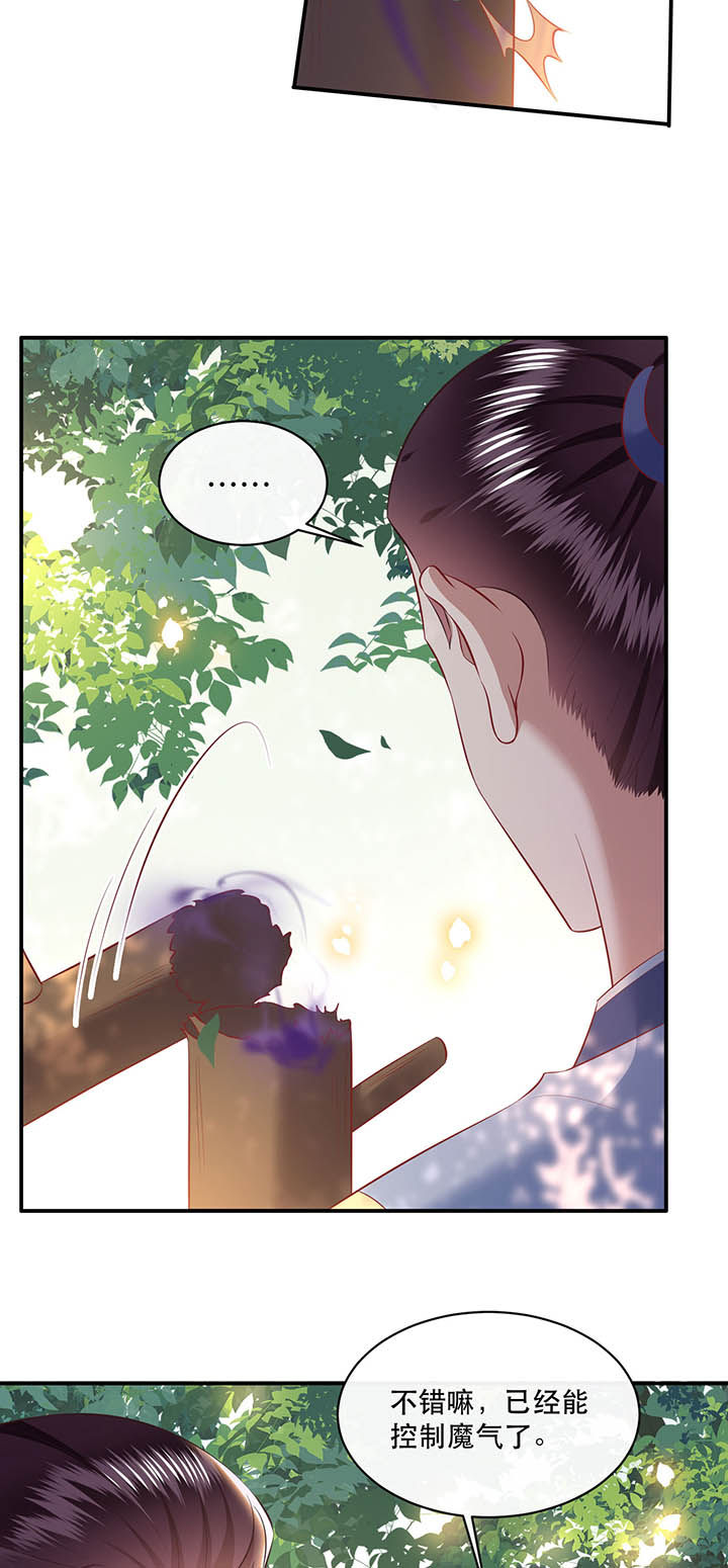 这个王妃路子野动漫叫什么漫画,第168章：疯起来自己都打2图