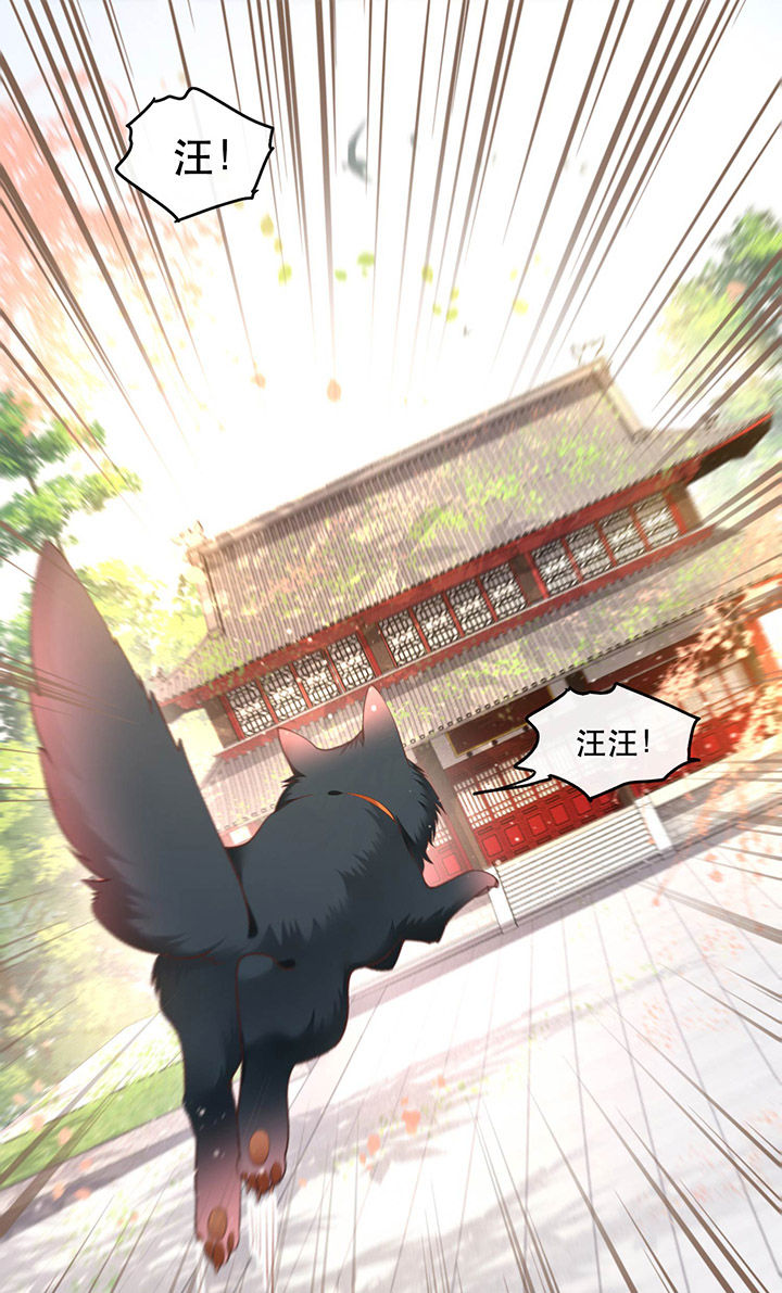 这个王妃路子野漫画免费阅读下拉式漫画,第54章：学会给主人捡东西了！2图