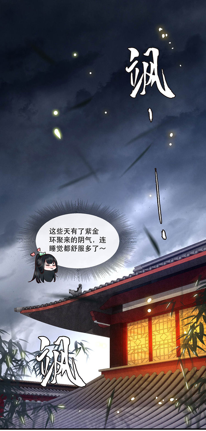 这个王妃路子野得宠短剧免费观看漫画,第53章：放你出去，一日放纵1图