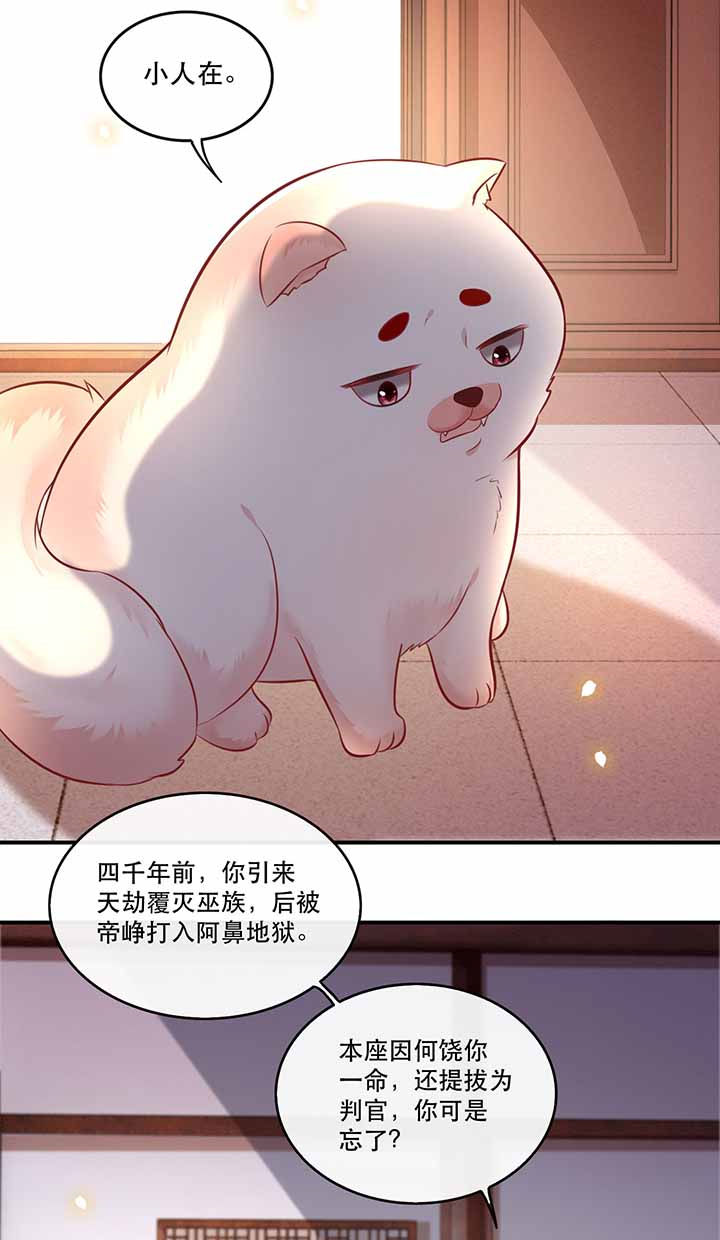 这个王妃路子野漫画,第68章：你想死吗？5图