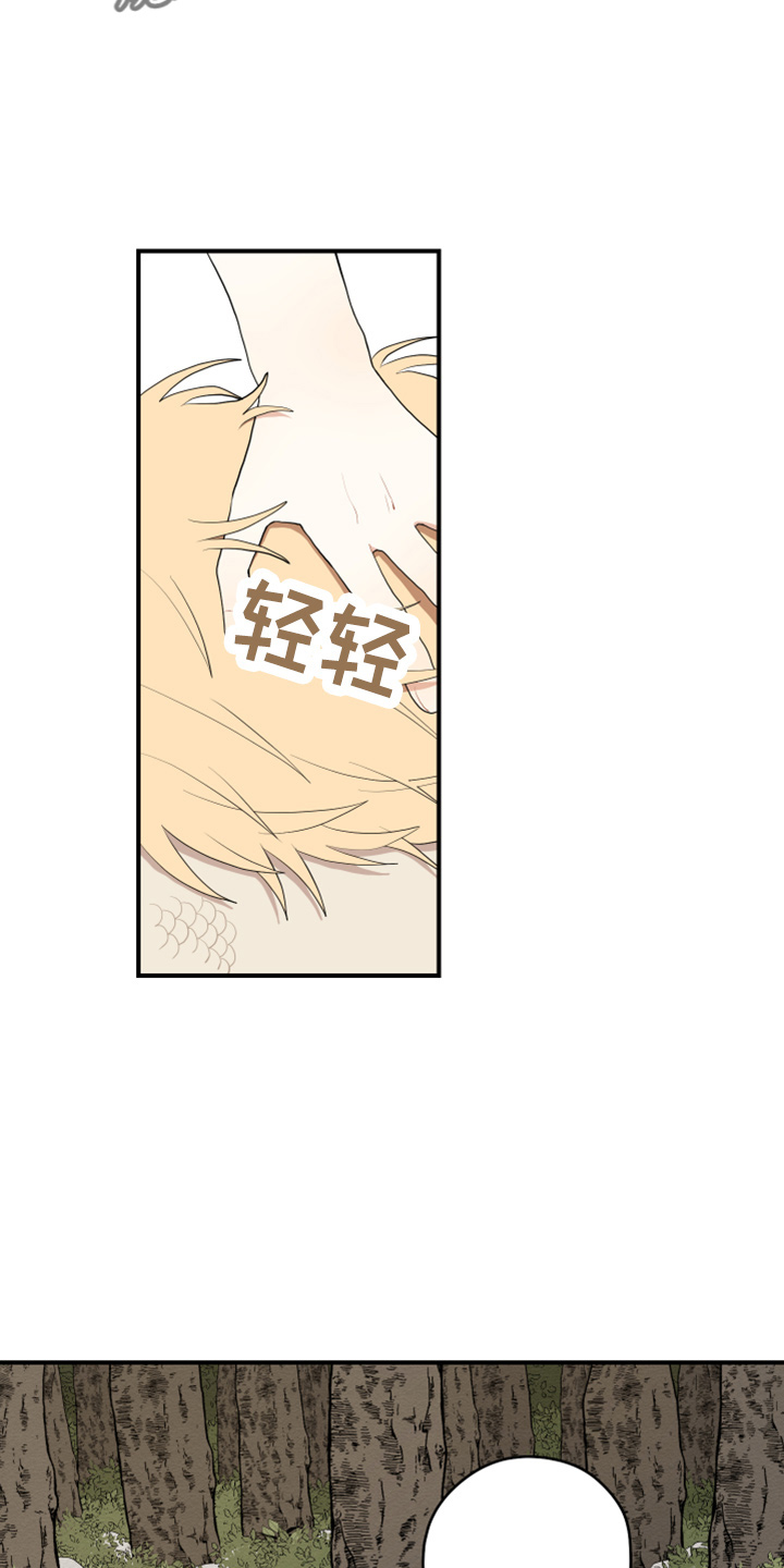 砚与龙动漫漫画,第42章：喜欢你2图
