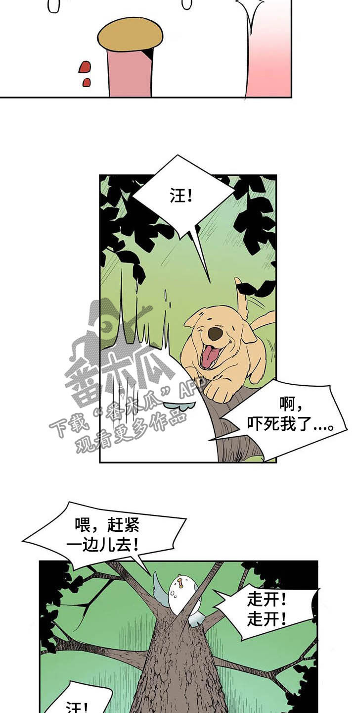 第20章：不许看！4