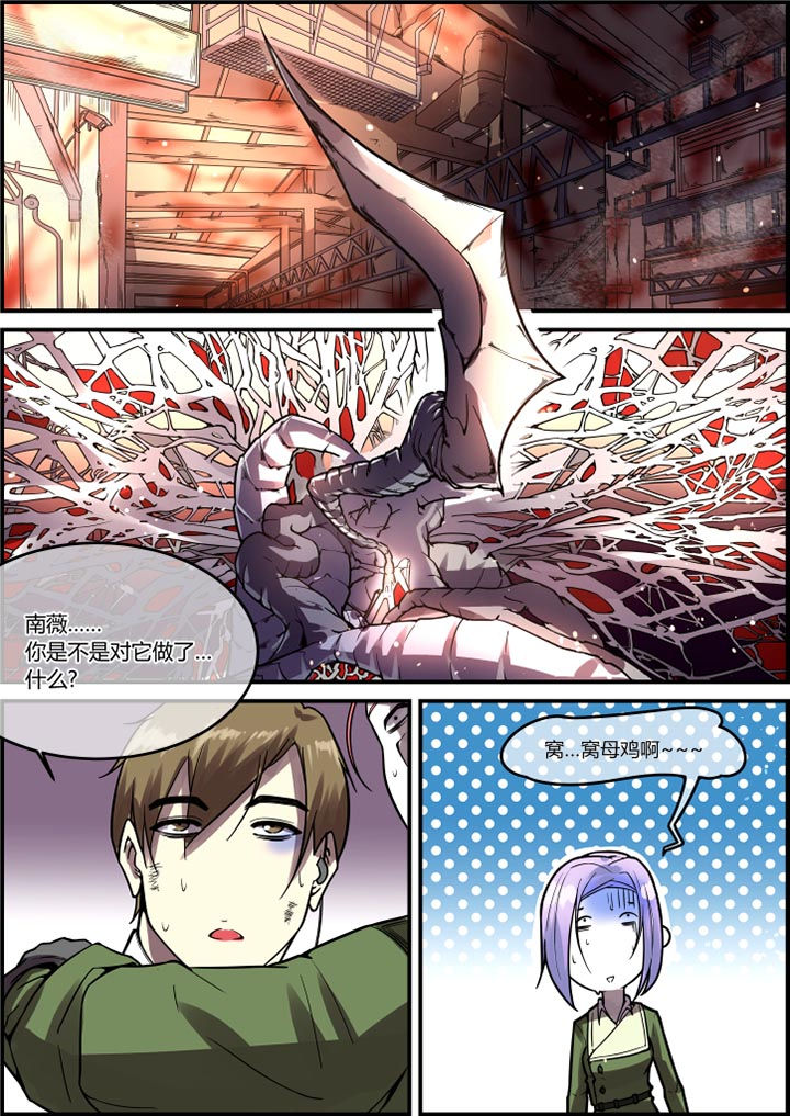 第51章：4