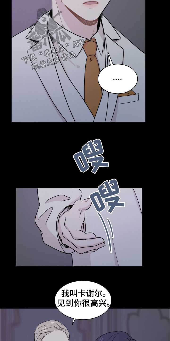 笼中鸟漫画,第12章：少爷3图